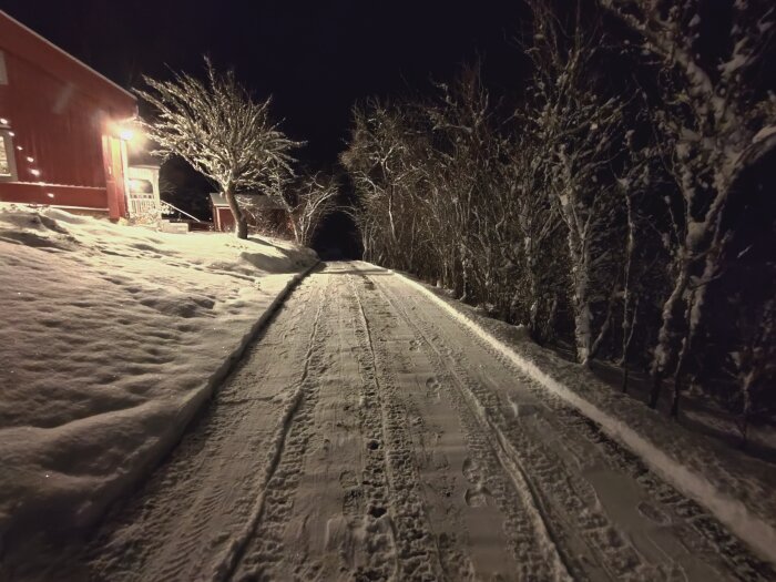 Snötäckt väg omgiven av snötyngda träd i nattmiljö, upplyst av lampor från husfasaden.