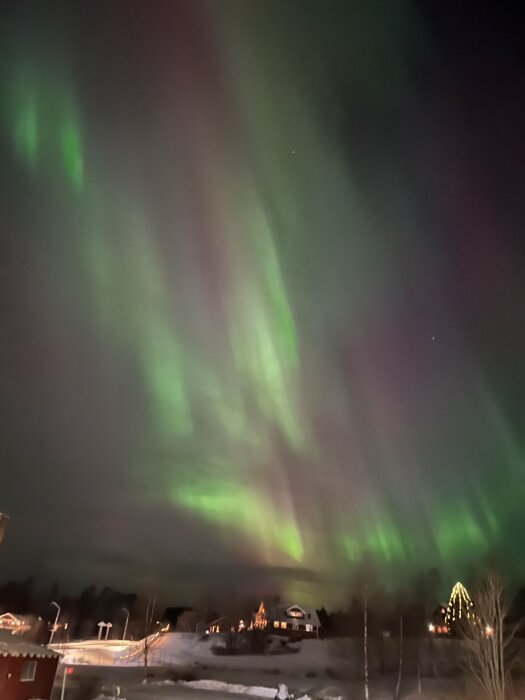 Norrsken över ett vinterlandskap med snö och hus, natthimlen lyses upp av gröna och gula ljusslingor.