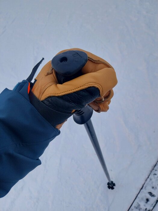 En hand i en Hesta Winter Pro-getskinnhandske håller i en skistav på snötäckt mark.