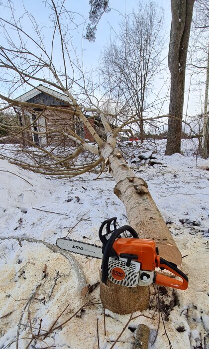 Motorsåg på en stubbe framför en fälld trädstam i ett snötäckt landskap med garage i bakgrunden.