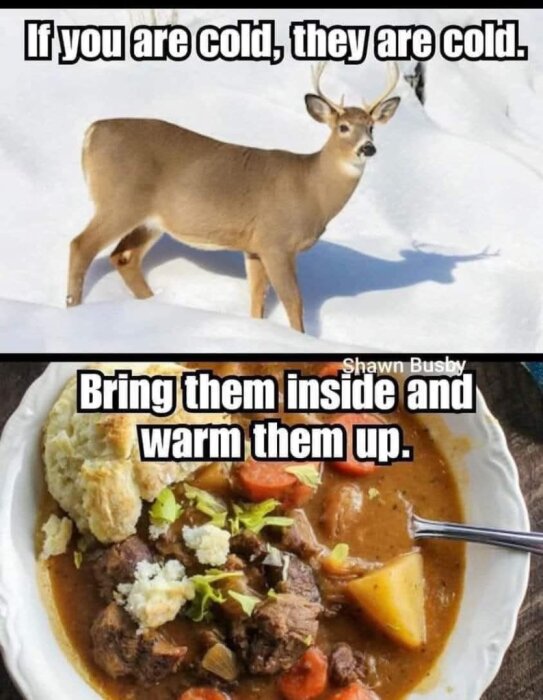 En meme med en hjort i snö och en köttgryta. Text: "If you are cold, they are cold. Bring them inside and warm them up.