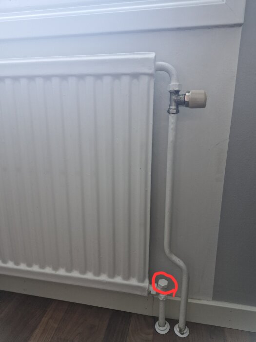 Radiator med röret anslutet till väggen, lock markerat med en röd cirkel vid basen, vid golvet.