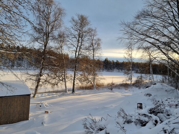 Snötäckt trädgård med träd och en lada i förgrunden, solen lyser över landskapet och skapar skuggor på marken.