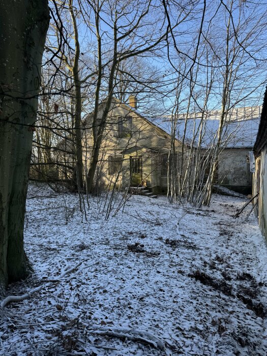 Gammalt hus omgiven av nakna träd och mark täckt av snö. Soligt väder och blå himmel syns genom grenarna.