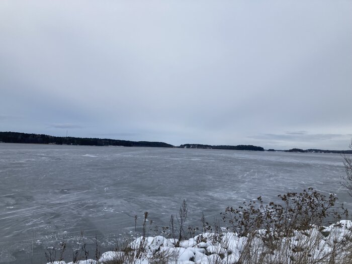 Frusen sjö med is och snöklädd strand, träd i bakgrunden under en gråmulen himmel.