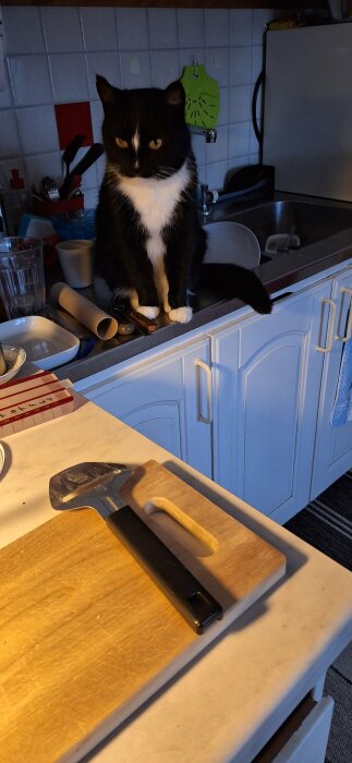 En svartvit katt sitter på diskbänken bredvid diskho i köket, omgiven av köksartiklar.