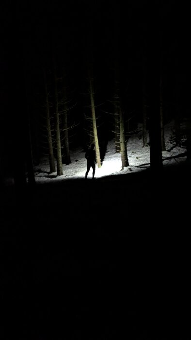 En person står i en mörk skog, belyst av ett starkt ljus som lyser upp snön och träden omkring.