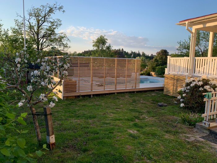 Trädgård med träaltan kring pool, omgiven av insynsskydd och blommor; saknar gräsmatta efter poolbygge. Trallavsats för grind och växter planeras.