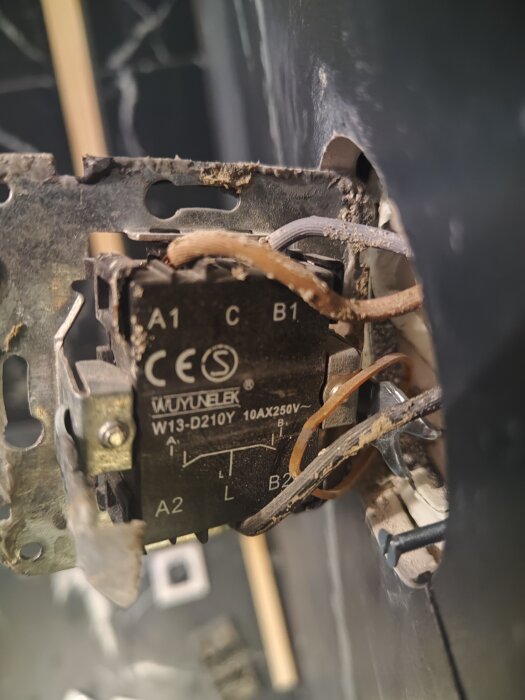 IMG_20250111_200133.jpg