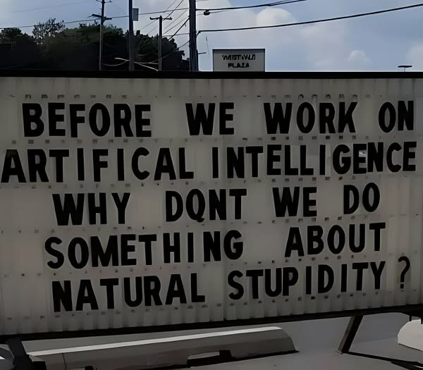 Skylt med texten: "Before we work on artificial intelligence, why don't we do something about natural stupidity?