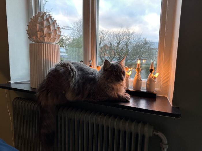 Katt liggande på fönsterbräda med adventsbelysning och dekorationsföremål, vinterlandskap syns utanför fönstret.