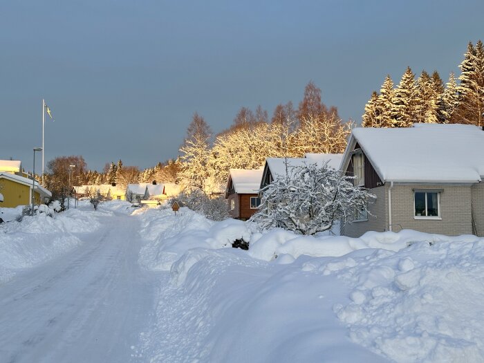 Snötäckt bostadsområde med hus och snötyngda träd i vintersol. En svensk flagga vajande på en flaggstång vid ett av husen.