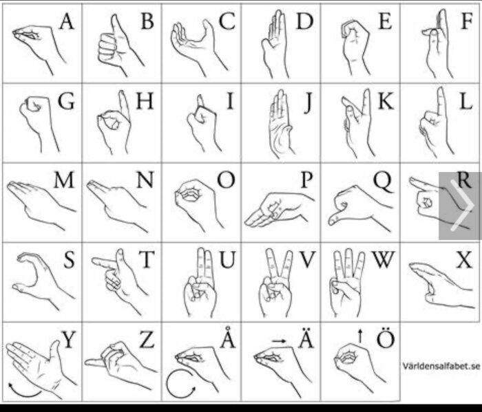 Illustration av det svenska teckenspråkets handalfabet med bokstäverna A till Ö representerade av olika handformer.