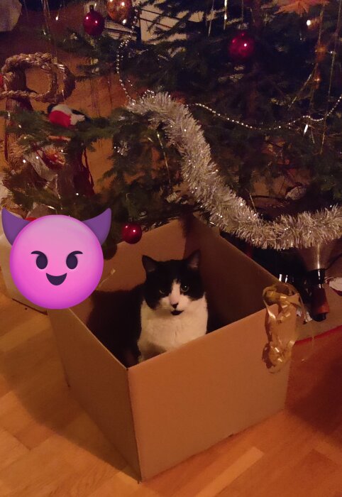 En svartvit katt i en kartong under en julgran med glitter och kulor, med presentsnöre hängande på kartongen.