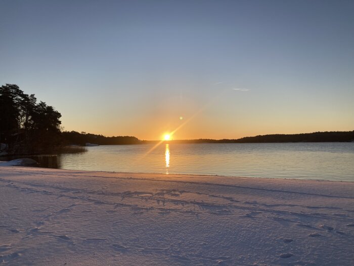 Solnedgång över en snöklädd strand med en spegelblank sjö och skog i bakgrunden.