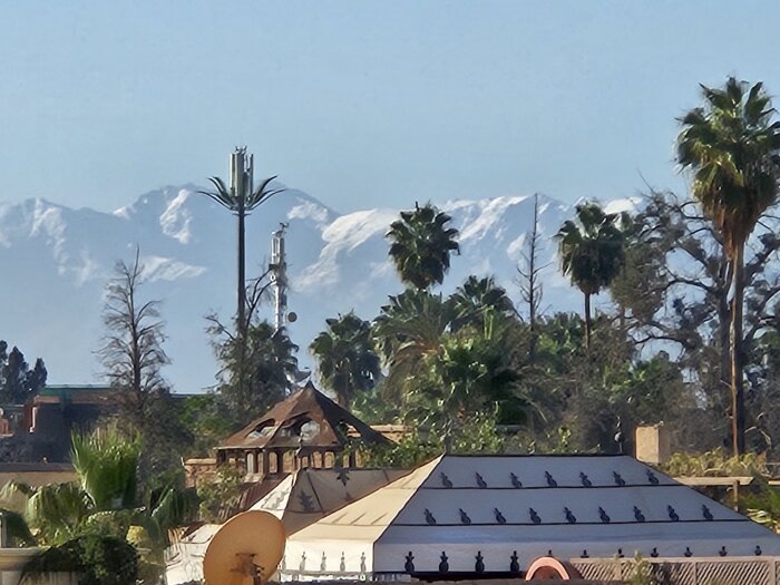 Vy över Marrakech med Atlasbergen i bakgrunden, palmer och en telemast liknande en palm.