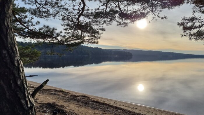 Solnedgång över en lugn sjö med spegelblankt vatten, omringad av skog och grenar, med en sandig strand i förgrunden.