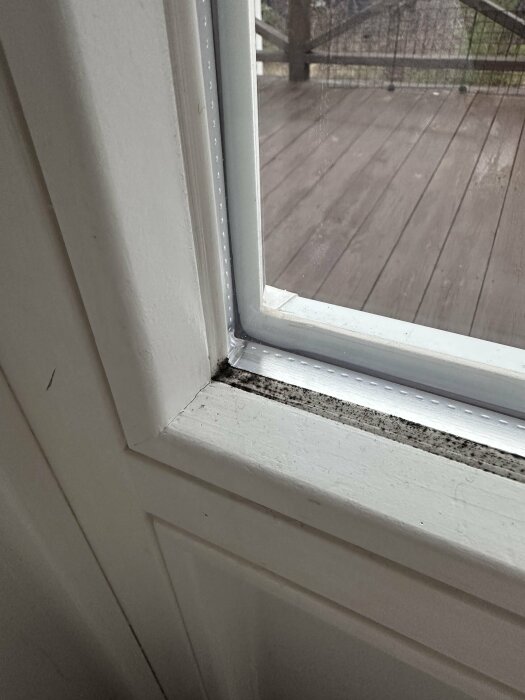 Närbild på nederkanten av ett fönster med synlig mögelbildning på fogarna.