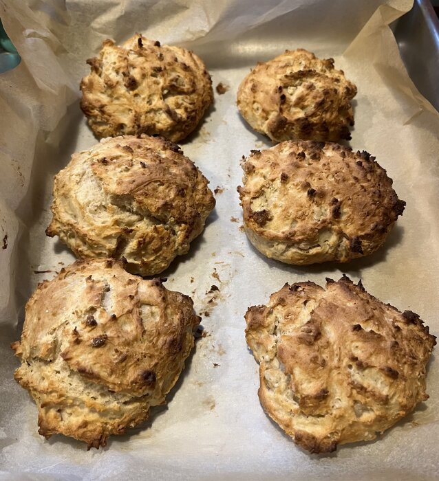 Scones bakade med rågsikt och olja på en bakplåtspapperklädd plåt.