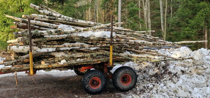 Björkgrenar lastade på en kärra i skogen, delvis täckta av snö. Grenarna är till för vedkapning eller blev björkmassa.