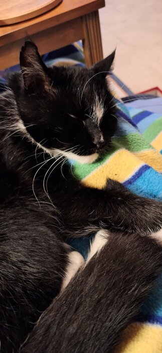 En sovande svartvit katt ligger pÄ en fÀrgglad filt och vilar huvudet med slutna ögon.