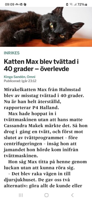 En svart katt ligger avslappnad pÄ en brun yta inomhus.