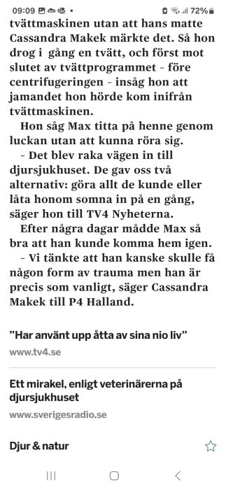 Textutdrag visar ett nyhetsinslag om en katt som överlevde en tvÀttmaskinolycka.