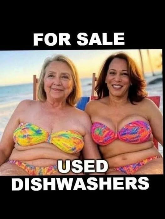 Jag vet inte vem personerna på bilden är, men två kvinnor i färgglada bikinis sitter på stranden med texten "FOR SALE USED DISHWASHERS".