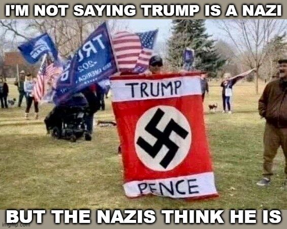 Bilden visar personer i en park, en håller en banderoll med en nazistisk symbol och text som antyder en koppling mellan Trump och nazister.
