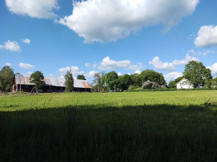 Exteriör av en fastighet utanför Eksjö med boningshus och ladugård, omgiven av gröna ängar under en blå himmel med moln.