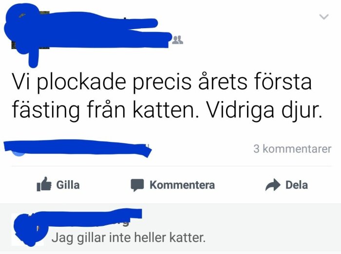 Inlägg på sociala medier om att ha plockat en fästing från en katt, med en kommentar som uttrycker ogillande för katter.