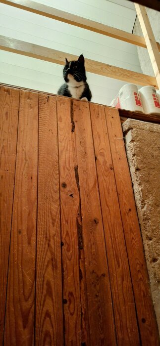 Svartvit katt sitter på en trävägg på vinden, omgiven av byggmaterial.