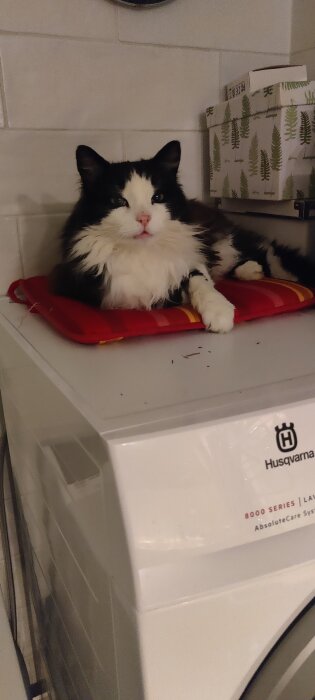 Svartvit katt liggande på en röd dyna ovanpå en vit torktumlare i ett tvättrum.
