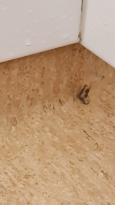 Närbild av ett hörn med ljusbrun yta och en mörk fläck.