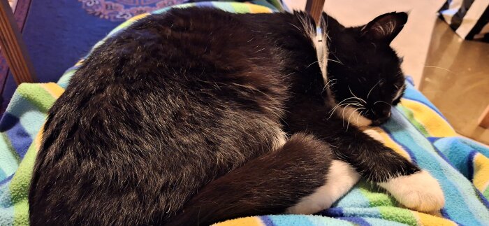Svartvit katt som ligger på en färgglad filt och sover på sidan.