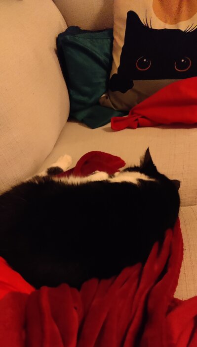 En svartvit katt sover på en soffa med röd filt och soffkudde med kattmotiv.