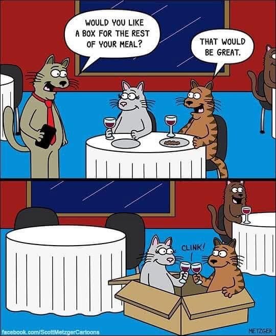 Tecknad bild med katter på restaurang, två katter skålar i låda istället för vid bord.