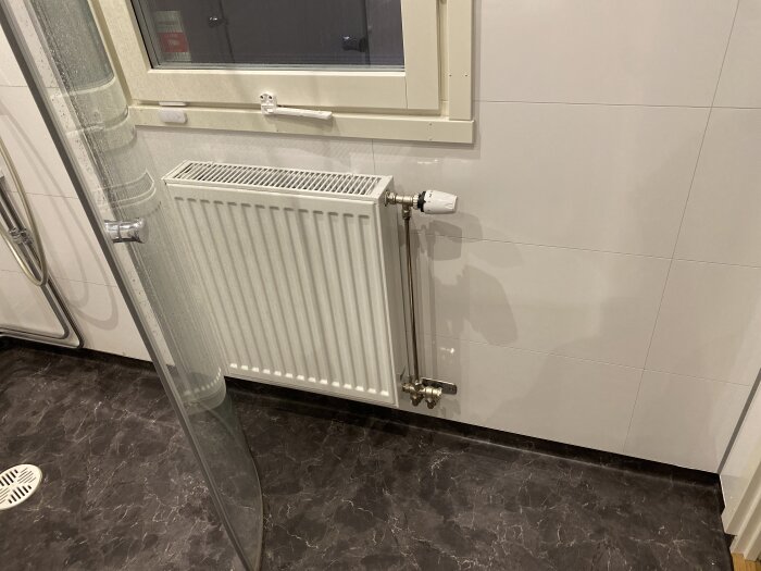 Duschhörna med glasvägg, radiator och vattenslang på mörkt klinkergolv i badrum.