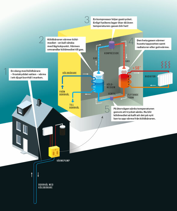 Illustration av värmepumpsystem med köldbärare, kompressor och radiator som visar flödet av värme och kyla i ett hus.