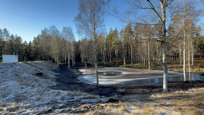 Vy över damm och träd i vintersol, med jordhögar och en vit byggnad till vänster.