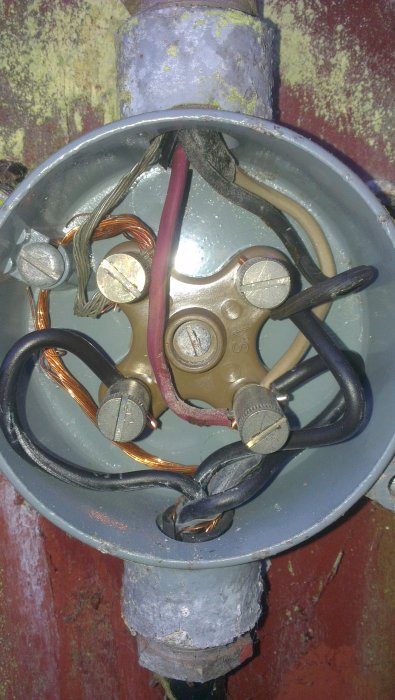 IMAG0064.jpg