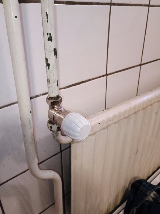 Radiator med nyinstallerad vit termostatventil mot kaklad vägg, gamla färgrester syns på rören.