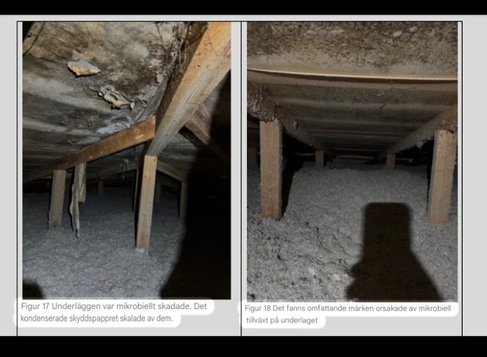 Mögelskadat innertak med mikrobiell tillväxt på vinden. Träreglar och isolering syns under takplankorna. Konsekvenser av tidigare dålig ventilation.