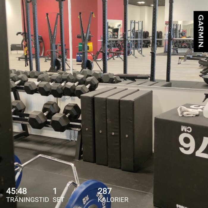 Ett gym med hantlar på ställning, vikter, och spegelvägg. Föremål för träning och fitness i ett inomhus träningsområde.