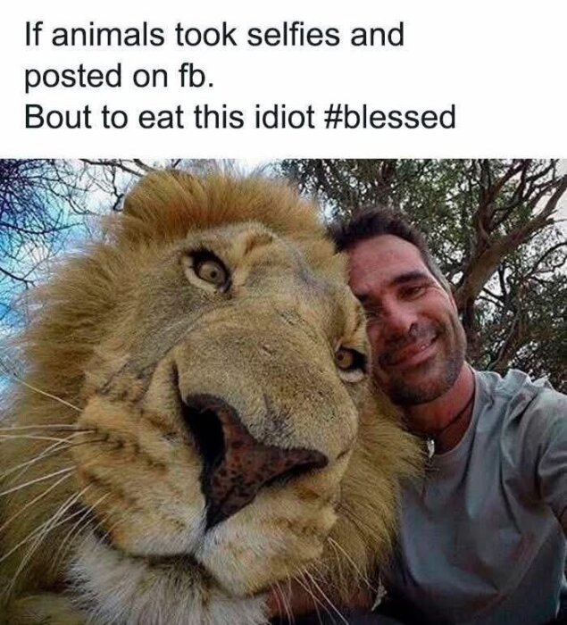 En selfie med en man och ett lejon, med en humoristisk text ovanför som nämner selfies och sociala medier.
