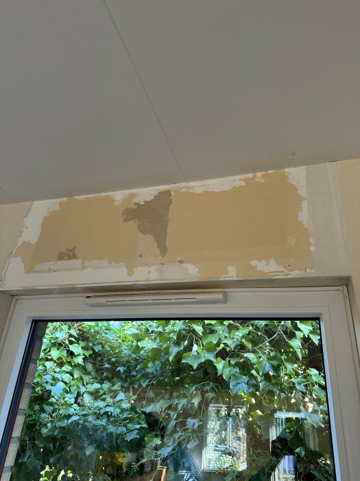 Avskalad tapet ovanför ett fönster i vardagsrum; synlig gipsvägg; delvis avsliten vinyltapet med olika lager; gröna löv syns genom fönstret.