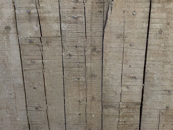 Close-up of vertically aligned wooden planks with visible nails, showing part of a thick interior wall structure intended for evaluation of removal.