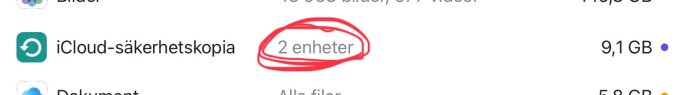 Skärmbild av iCloud-säkerhetskopiering med texten "2 enheter" inringad i rött.