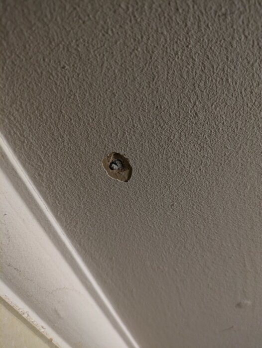 Spikhål i tak som behöver punktspacklas innan rullspackling, fokus på spikhål där färgen släppt.