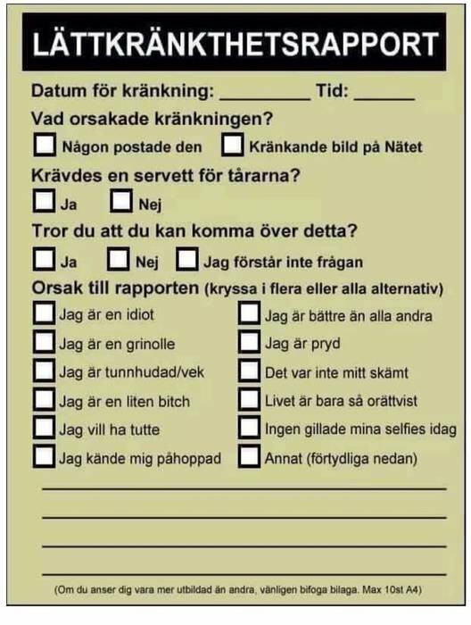 Formulär med titeln "Lättkränkthetsrapport" med kryssrutor och frågor om orsak till kränkthet och upplevelse av situationen.